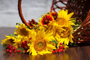 çiçek ve bir sepet içinde Kartopu çiçeği yalanları ile ayçiçeği 