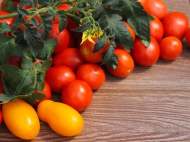 domates yaprak ve çiçek tablo ile