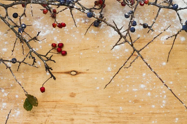 Branches on a wooden background berry trees with snow — Φωτογραφία Αρχείου