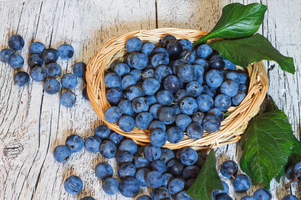 sloe berries with leaves  closeup  in a wicker basket on a white