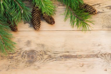 Evergreen dallarında hafif ahşap arka plan üzerinde koniler ile