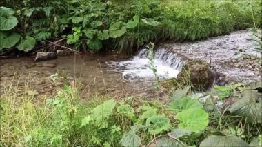 Cutkovo Ruzomberok Slovakya 'da güzel bir dere.