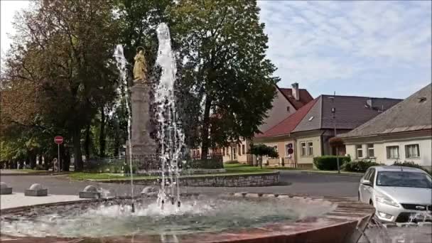 Novobarokní Mariánský Sloup Století Zdobí Prostory Před Obecním Úřadem Ruomberoku — Stock video