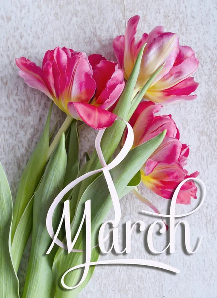 8 de marzo, Tarjeta de felicitación del Día Internacional de la Mujer. Figura blanca ocho y un ramo de tres tulipanes rojos . — Foto de Stock