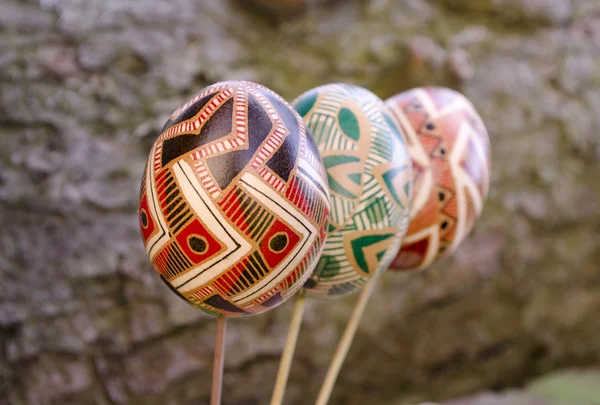 Concepto de Pascua. Coloridos huevos de Pascua en la corteza del árbol — Foto de Stock