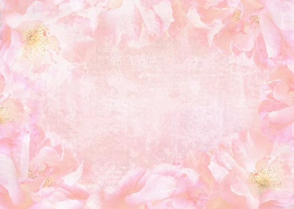 Mooie abstracte rozen achtergrond met plaats voor uw tekst — Stockfoto