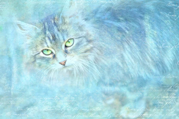 Grunge fond bleu avec thème chat. Texture abstraite fond — Photo