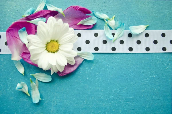 Ξύλινη επιφάνεια τυρκουάζ με χαμομήλι, πολύχρωμο λουλούδι πέταλα και λευκά στίγματα κορδέλα. — Φωτογραφία Αρχείου