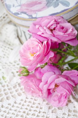 Sevgi ile güzel çiçek kartı. Hediye kutusu ile nazik vahşi pembe Gül