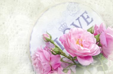 Sevgi ile güzel çiçek kartı. Hediye kutusu ile nazik vahşi pembe Gül
