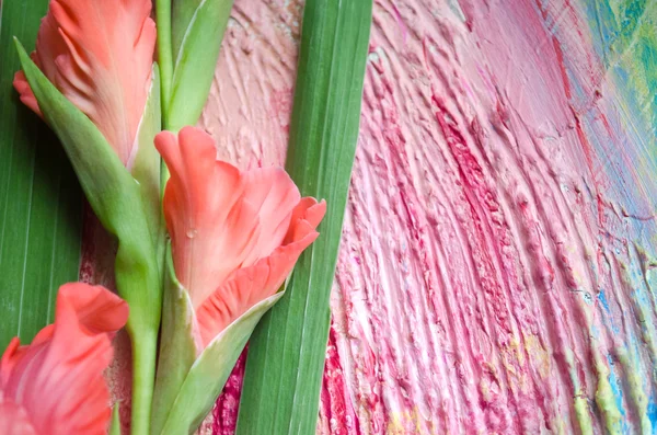 Vacker elegant gren av röda Gladiolus blommor med knoppar på trä rustik bakgrund — Stockfoto