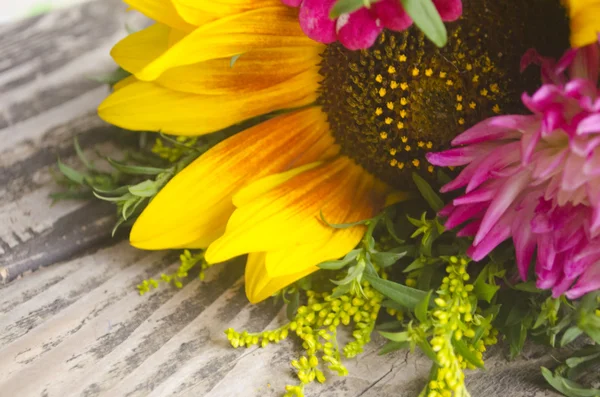 Fresco bel girasole giallo e rosa fiori selvatici su sfondo marrone testurizzato in legno con spazio per il vostro disegno — Foto Stock