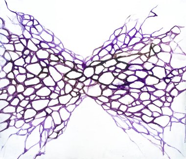 Beyaz arka planda nöro grafik boyama. Psikoteknikler nöroboyama.