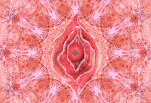 Imaginea Vaginului Formă Floare Ilustrație Yoni Conceptului Energie Feminină Colorat — Fotografie, imagine de stoc