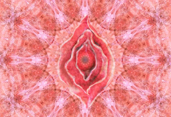 Vagina image in the shape of a flower. Yoni illustration of female energy concept. Colorful abstract mandala background. Ethnic motifs.Element for relax, meditation.Circular colored pattern for decoration.
