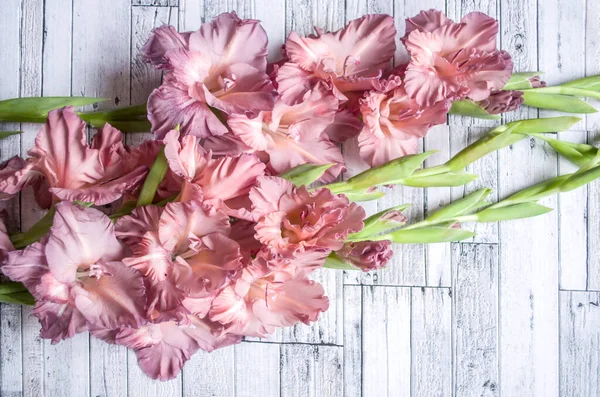 Gladiolus Pulver Färg Aska Rosa Grå Strukturerad Trä Bakgrund Naturligt — Stockfoto