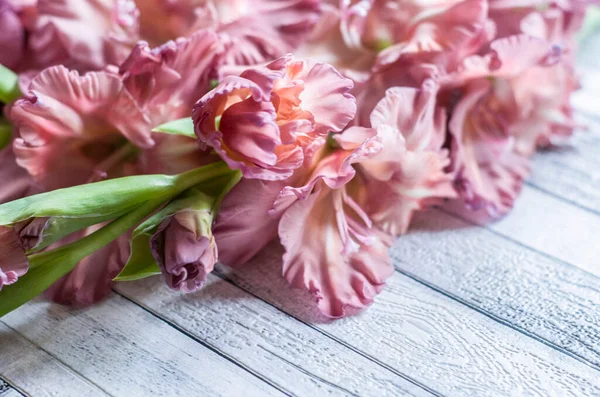 Gladiolus Powder Color Ash Pink Gray Textured Wooden Background Natural — Stock Photo, Image