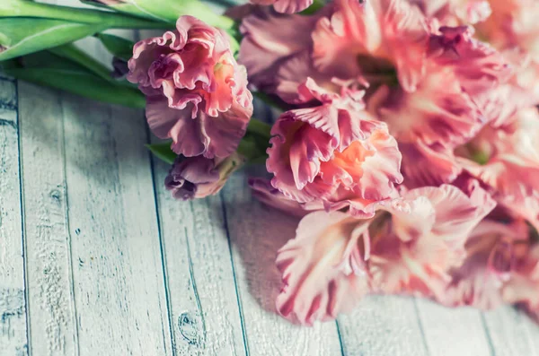 Gladiolus Pulver Färg Aska Rosa Grå Strukturerad Trä Bakgrund Naturligt — Stockfoto