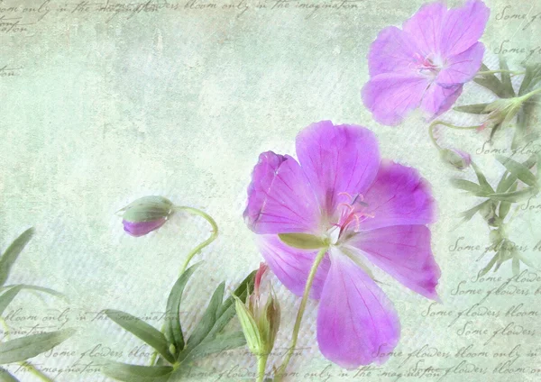 Postcard floral template. — ストック写真