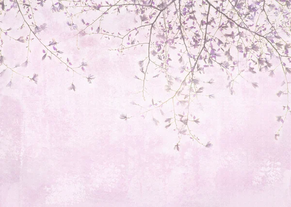 Card with spring fragrant magnolia flowers on a hanging branches with green leaves. Floral template. May be used for a graphic art, as a greeting or gift layout, wallpaper, web template.
