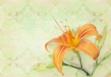 Beautiful lily flower on a abstract grunge patterned background, holiday card template. Postcard with tender elegance orange lily flower and place for your text.