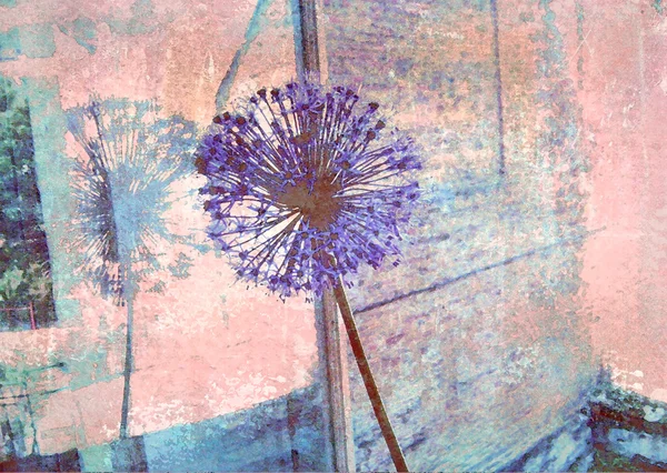 Fiore di allium blu riflesso in un vetro di finestra. Sfondo floreale. Vecchia consistenza. Immagine per l'interno, come parte di decorazioni murali . — Foto Stock