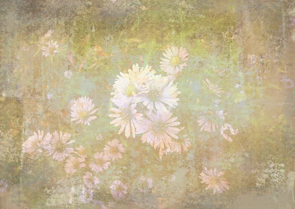 Grunge texture with floral background in vintage style. Romantic chamomile flowers in the garden. — Stock Photo, Image