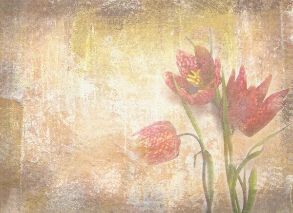 Grunge texture with floral background in vintage style. Dutch tulips. Design template with place for your text. May be used for a graphic art, as a greeting or gift layout, web template. — Stock Photo, Image