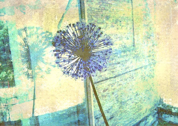 Blå allium blomma återspeglas i en fönsterruta. Floral bakgrund. Gamla konsistens. Bild för inre, som en del av väggdekorationer. — Stockfoto