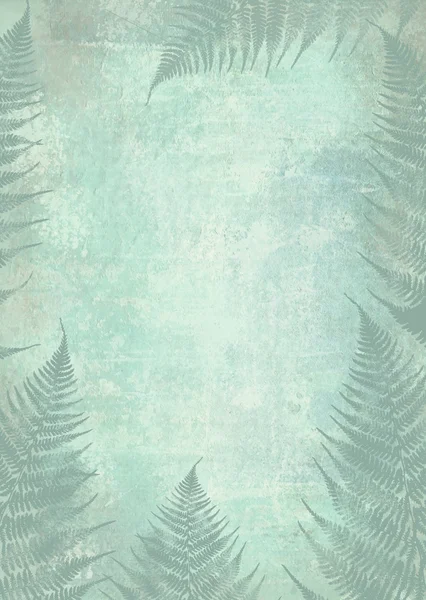 Bakgrund fern foliage ram. Formgivningsmall med plats för din text. Dimma i skogen natt. Mörkerseende. — Stockfoto