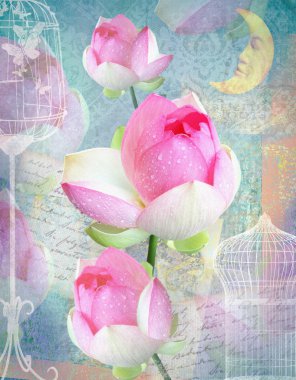Kartpostal çiçek. Tebrik kartı peonies, hücreleri ve ay ile. Güzel pembe çiçek. Tebrik kartı kullanılabilir davet düğün, doğum günü ve diğer tatil oluyor. Mavi arka plan.