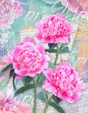 Kartpostal çiçek. Senin için tebrik kartı bir grunge arka plan ve metin üzerinde güzel peonies ile. Hediye, tebrik kartı, davetiye kullanılan düğün, doğum günü, diğer tatil oluyor.