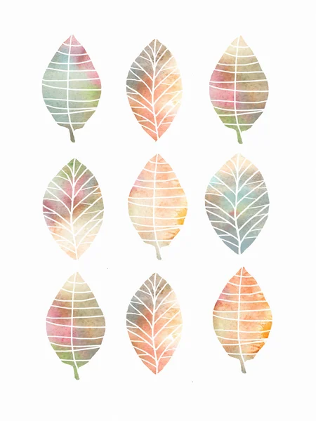Set di foglie autunnali colorate, isolate su sfondo bianco . — Foto Stock
