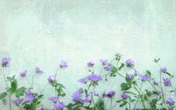 Light grunge background with violet wild flowers. Plants under the wall. May be used for a graphic art, as a greeting or gift layout, wallpaper, web template. — Stock Photo, Image