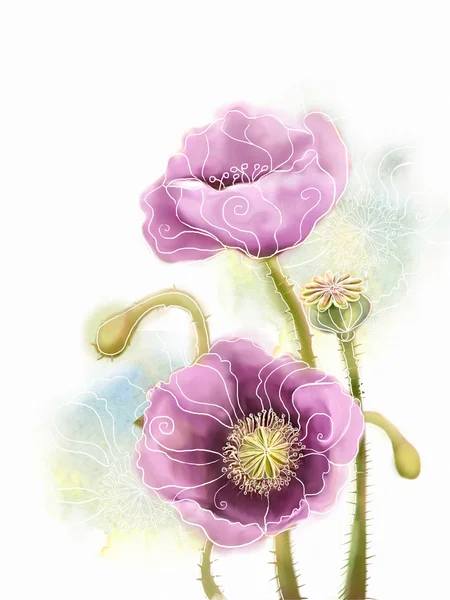 Watercolor painting: colorful stylized pink poppies isolated on white. — Stock Photo, Image