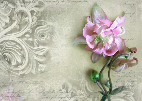 Fragment of ornate relief with flower. — Stock Photo, Image