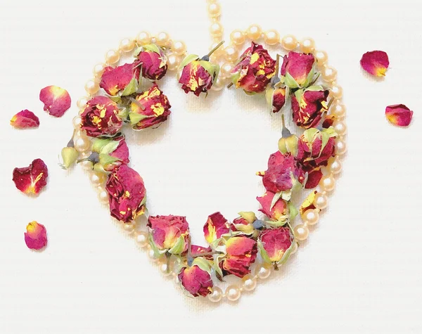 Gentle background with pink rosebud, rose petals and heart shaped pearl necklace isolated on white. — Stockfoto