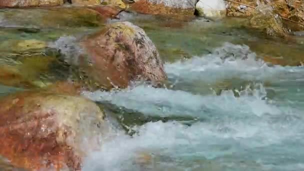 Wasser fließt in den Bach — Stockvideo