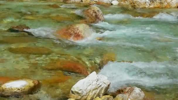 Wasser fließt in den Bach — Stockvideo