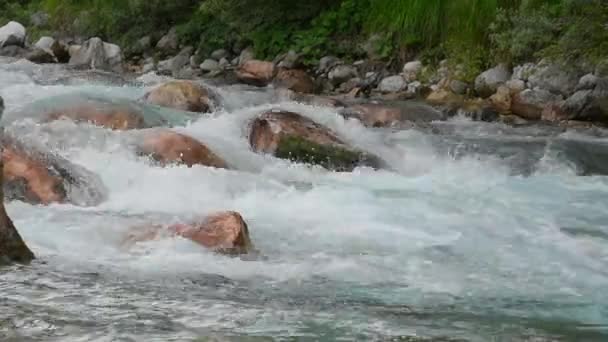 Вода течет по течению — стоковое видео