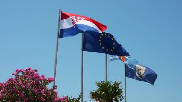 De Kroatische vlag — Stockvideo