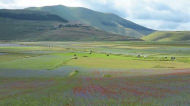 Çiçekli düz Castelluccio, İtalya