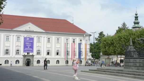 De draak Lindwurm in het belangrijkste plein van Klagenfurt. — Stockvideo