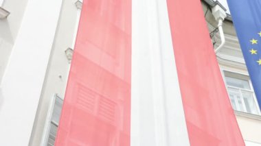 Avusturya ve Avrupa bayrakları