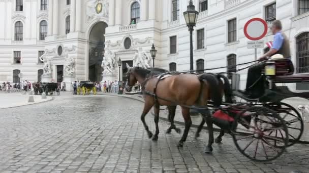 Przewozu koni w Michaelerplatz w Wiedniu — Wideo stockowe