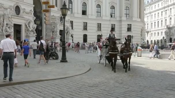 Kocsi lovak Michaelerplatz Bécsben — Stock videók