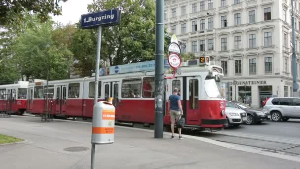 En spårvagnshållplats på ringen i Wien — Stockvideo