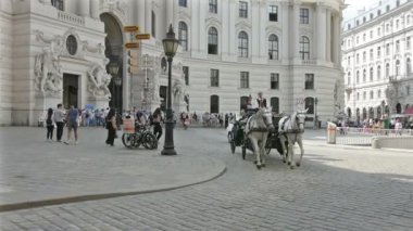 Michaelerplatz Viyana'da at arabası