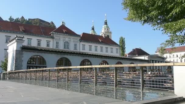 Mesarski de meeste slagers brug in Ljubljana — Stockvideo
