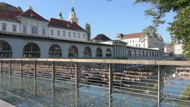 Mesarski de flesta Bridge i Ljubliana — Stockvideo